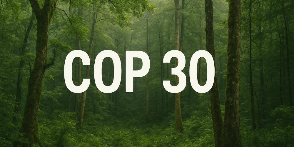 20251009_1630_Capa COP 30_simple_compose_01k7575ekwfrz8vgandwfwvdsd